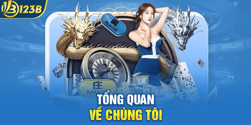 Tổng quan về chúng tôi